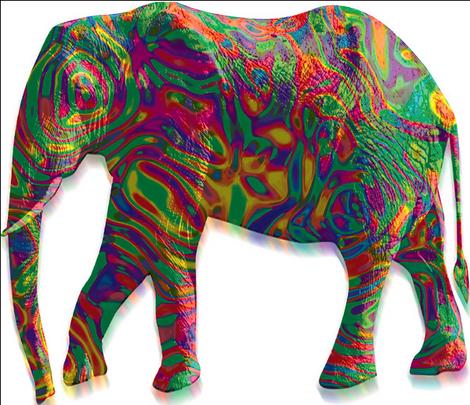 Do Elephants Die on LSD?